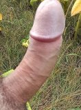 Tomx vidéki szexpartner