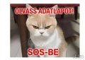 Tita vidéki szexpartner